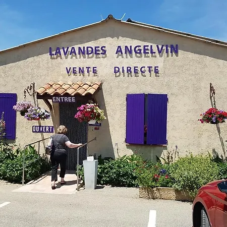 호텔 Les Alpes 3*