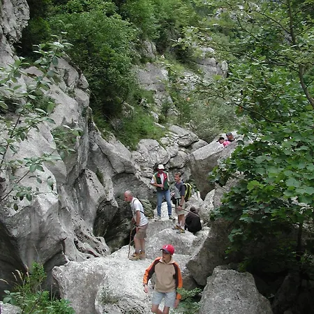 호텔 Les Alpes 3*
